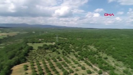 KIRKLARELİ ISTRANCA ORMANLARI BÖLGESİNDE KÖYLÜLERDEN DOĞA İÇİN BÜYÜK MÜCADELE-2