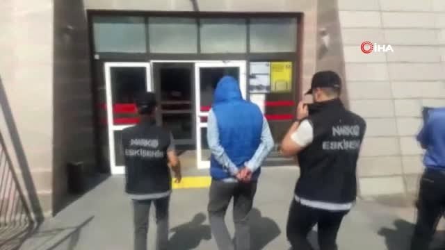 Eskişehir'de 545 kök hint keneviri ele geçirildi