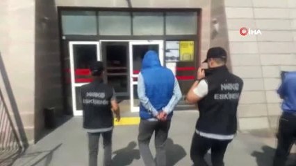 Eskişehir'de 545 kök hint keneviri ele geçirildi