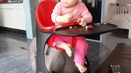 Cute Baby Feeding Her American Bully!