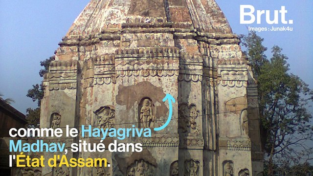 Ces tortues éteintes survivent dans des temples en Inde