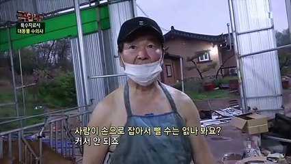 극한직업 - Extreme JOB_특수치료사- 대동물수의사와 나무의사_#002