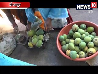 बीजापुर की खासियत है ये आम, अपने वजन और साइज के लिए है फेमस