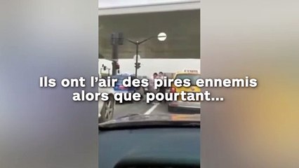 Ils ont l’air des pires ennemis  alors que pourtant...