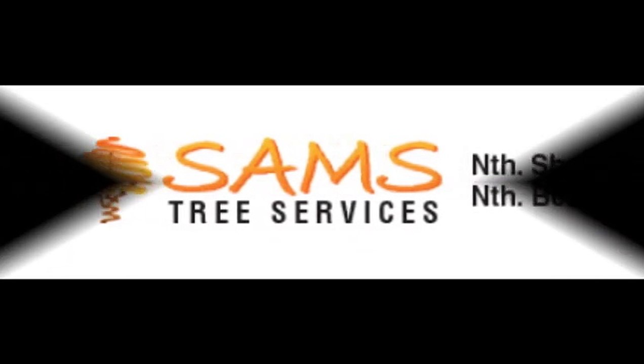 Sam's Tree Services North Shore | Tree Removal Services Lanecove