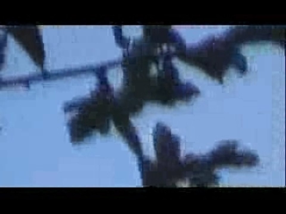OVNI 2003