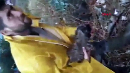 Akıntıya kapılan 6 köpek yavrusunu kurtardı