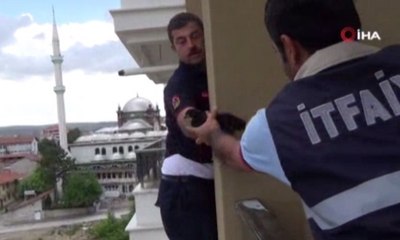 Concon için seferber oldular