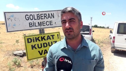 Kuduz alarmı nedeniyle karantinaya alınan köy havadan görüntülendi