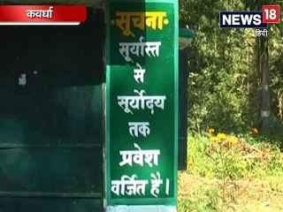 VIDEO: वन मंत्री के इलाकों में ही हो रही इमारती लकड़ियों की अवैध कटाई