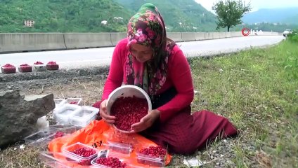 Günde Bir Kilo Toplanabilen Dağ Çileğini Kilosu 120 TL