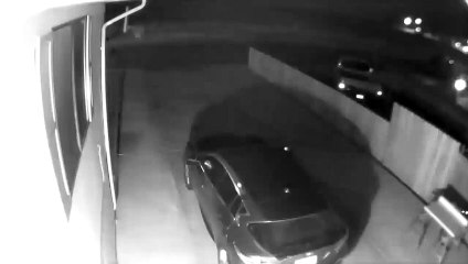 Dünya bu sorunun cevabını arıyor... Görüntülerdeki gizemli "yaratık" ne?