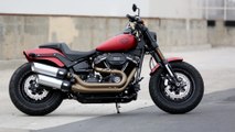 2019 Harley-Davidson Fat Bob 114 Walkaround