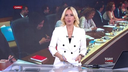 Meclis’te “Hayvan Hakları” İçin Yoğun Mesai