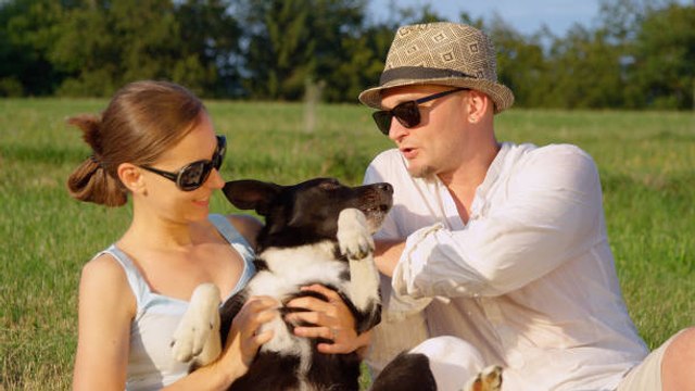 Mon chien prend trop de place dans mon couple