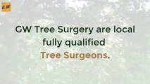 Professional Tree Surgeons Kent GW Tree Surgery & Stump Grinding