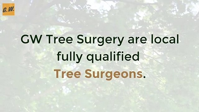 Professional Tree Surgeons Kent GW Tree Surgery & Stump Grinding
