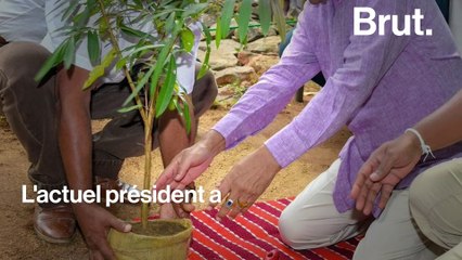 Sri Lanka : de nouvelles mesures contre la déforestation