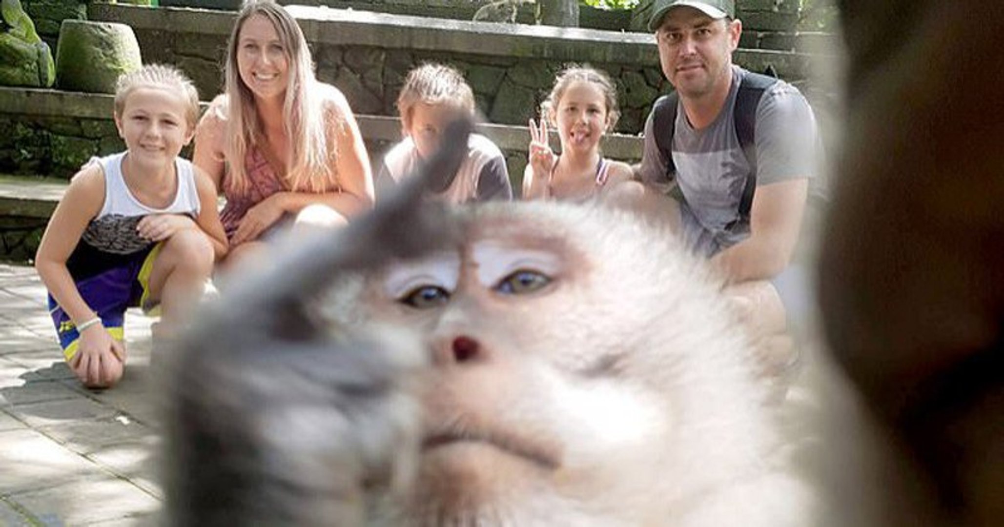 Quand un gorille fait un doigt d'honneur aux visiteurs d'un zoo