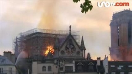 Luis Rubio | Notre Dame debe hacernos pensar en cómo México trata su patrimonio