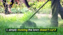 Going Green! 5 Costly Things They Don’t Tell You About Maintaining a Lawn