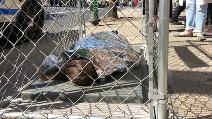 La campagne #NoKidsInCage dénonce les détentions de mineurs aux Etats-Unis