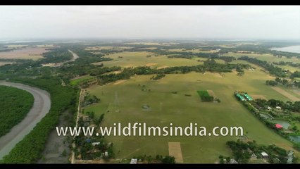 Gomdi river  in the north of Sundarbans in West Bengal : seen aerially
