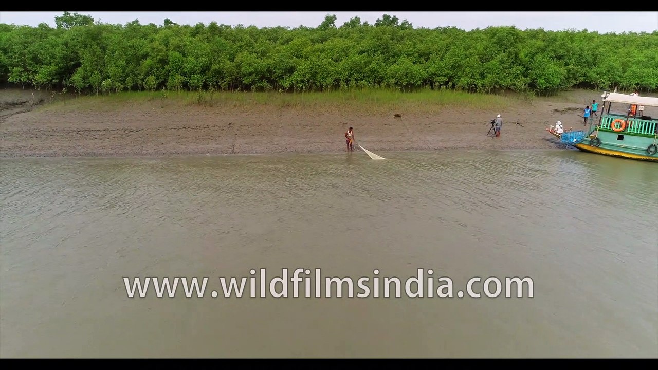 Aerials of Satjelia village along with the Gomdi river flows through Sundarbans