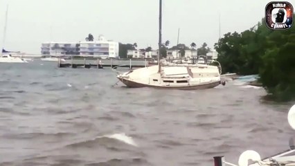 巨大ハリケーンの記録映像