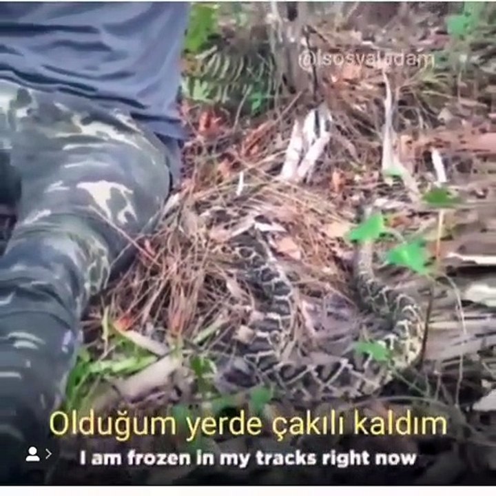 İzlerken Heyecan Bastı