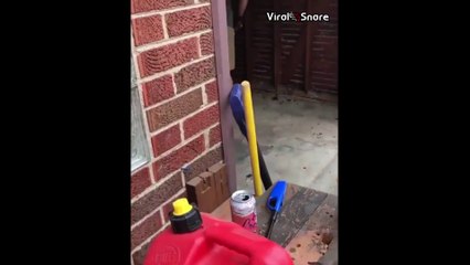 Flipper Foot Cleaner (like a boss).mp4