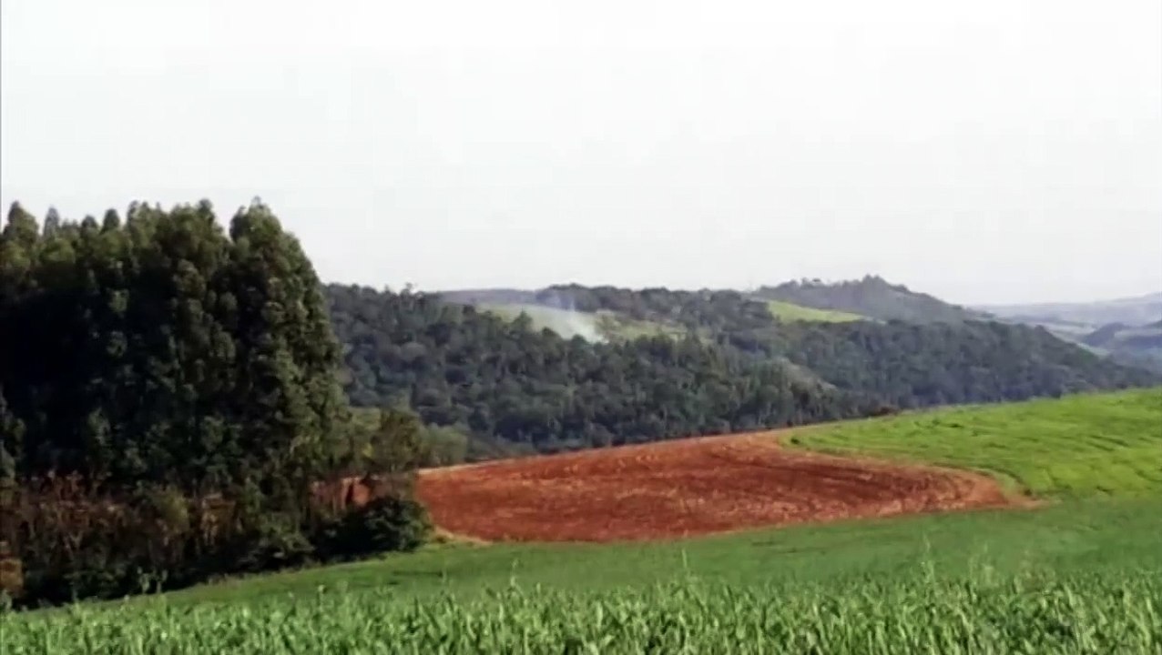 Incêndio ambiental é registrado em local de difícil acesso, perto da PR-180