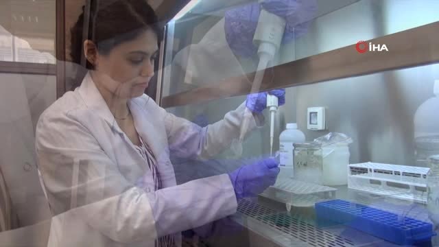 Kastamonu Üniversitesi'nde yerli ve milli beyaz peynir için çalışmalar başladı