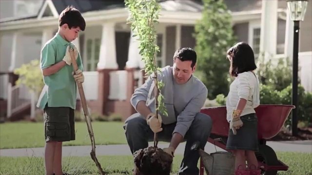 Planting Trees in Your Yard Can Save You Big Bucks in Energy Bills