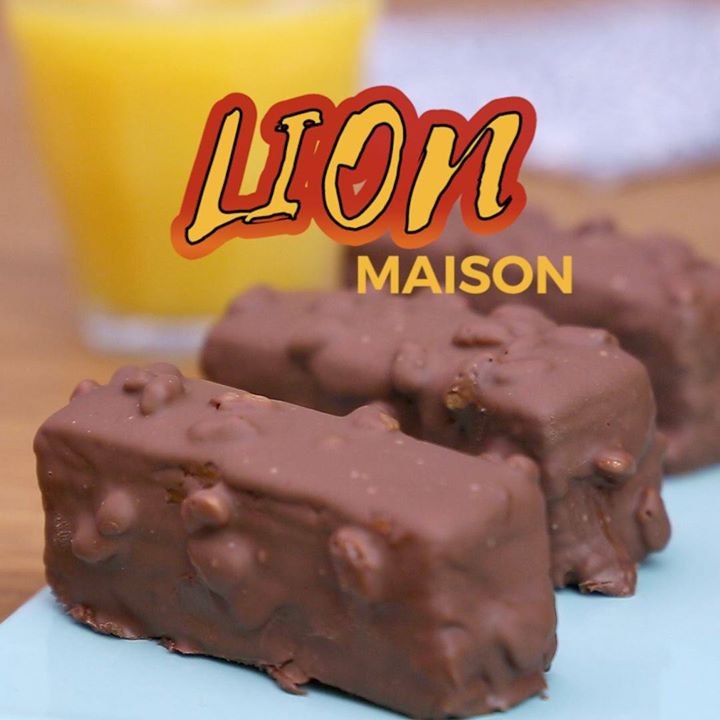 Lion maison