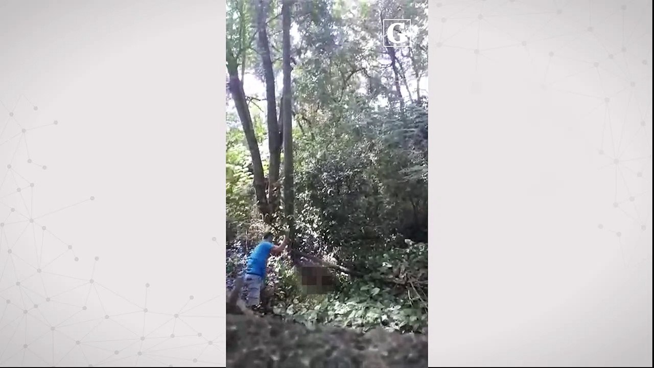 Homem é flagrado agredindo cachorro na Serra