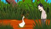 Goose That Laid the Golden Eggs Story |Bedtime Stories | Stories for Kids |Fairy Tales | Tales