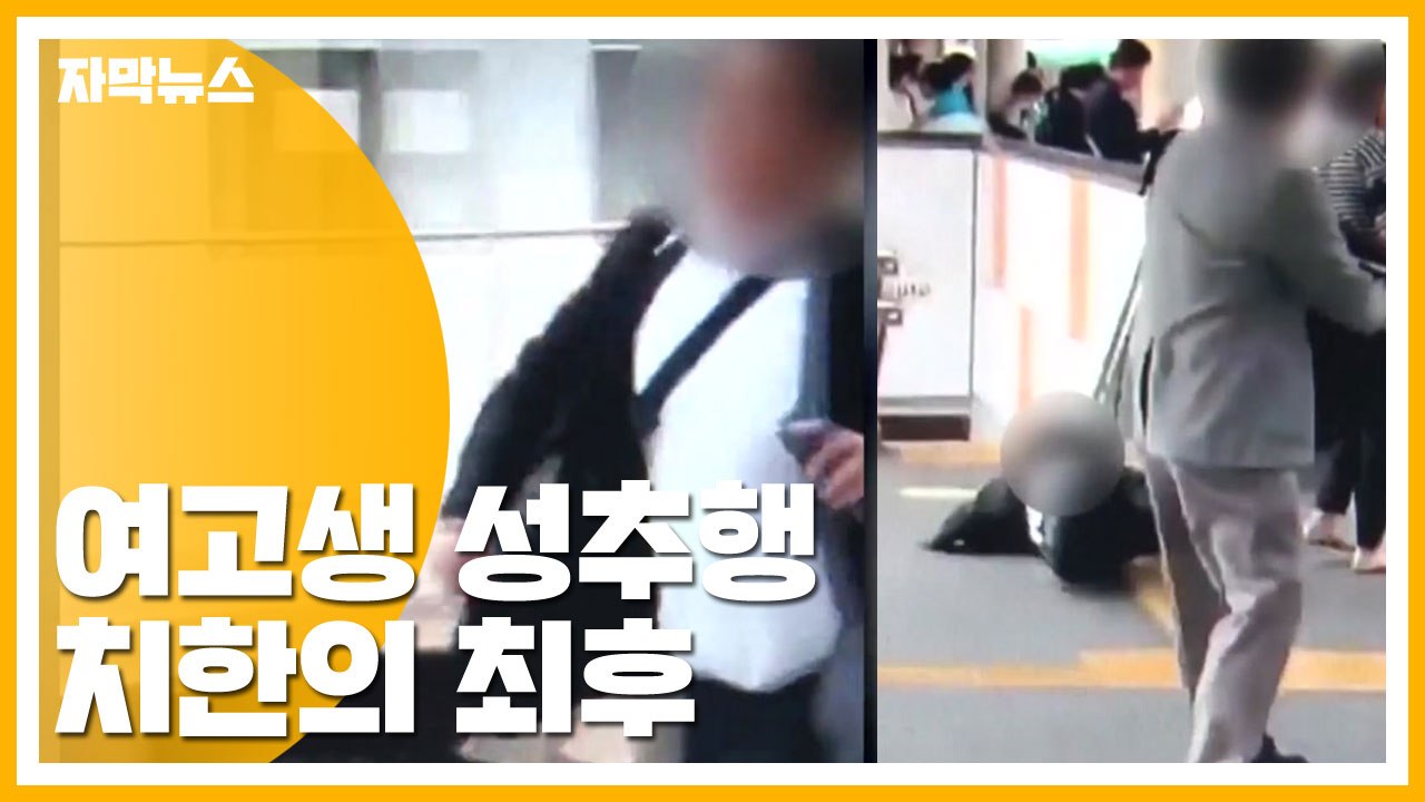 [자막뉴스] 전동차에서 여고생 성추행...30대 치한 잡은 방법 / YTN