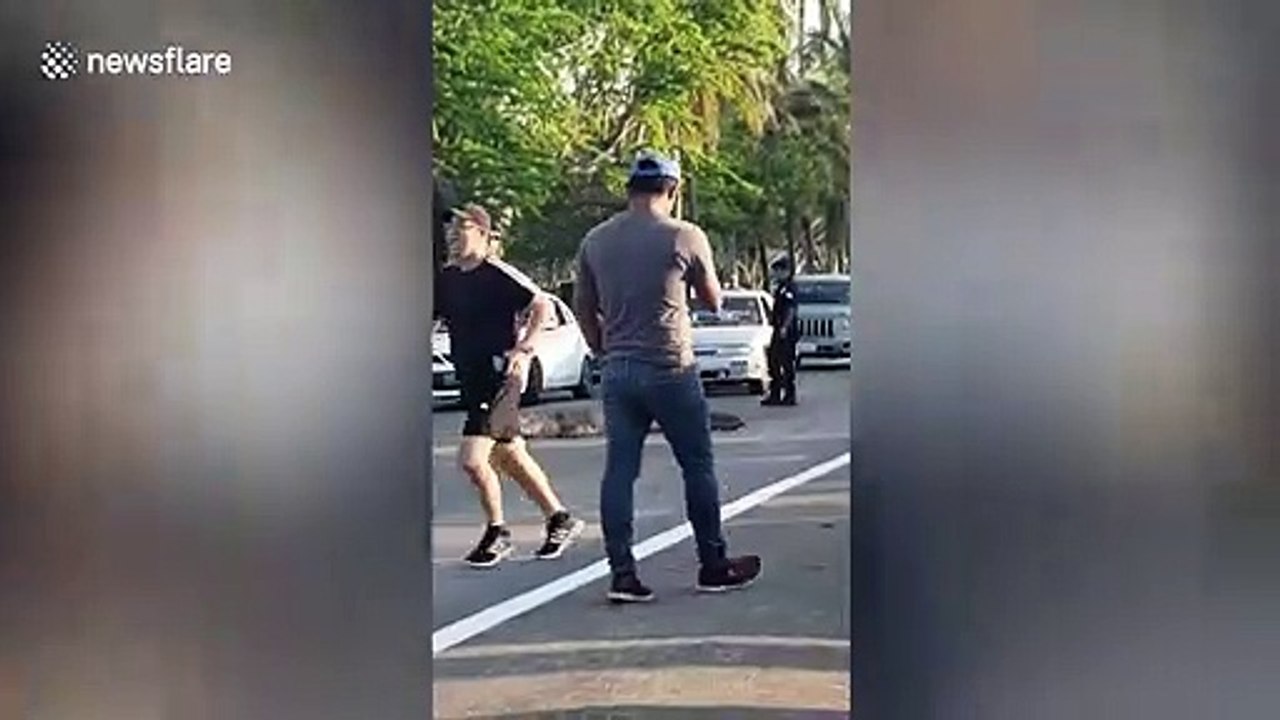 Enormous crocodile holds up multiple lanes of traffic in Mexico