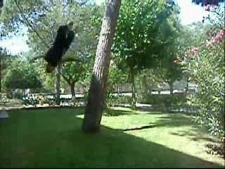 tricks verano 2007-(by_xus)