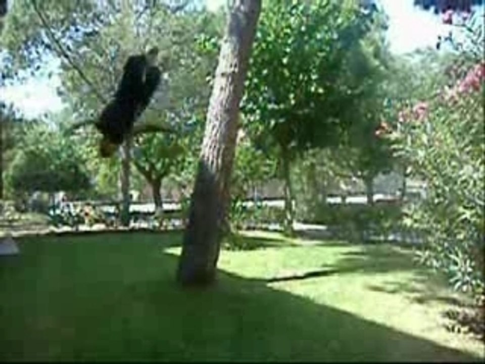 tricks verano 2007-(by_xus)