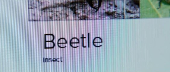 YESTERDAY di Danny Boyle