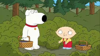 Family Guy7