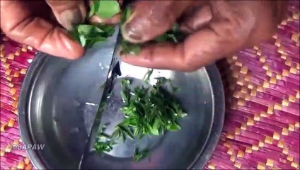 Village de la Nourriture  Croustillant de l'unité de coordination Vada avec le Sambal par grand-mère