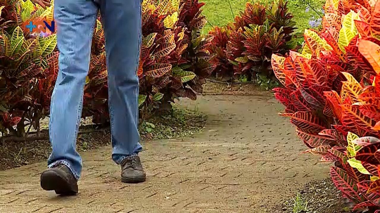 Finca carbono neutral
