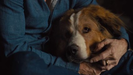 Dostumun Yolculuğu Orijinal Fragman