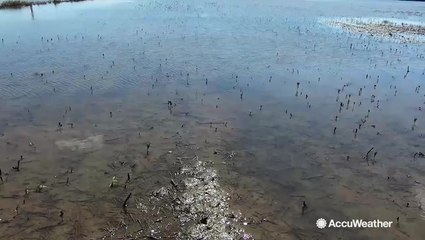 How farmers in eastern Missouri are handling one of the longest lasting floods in history