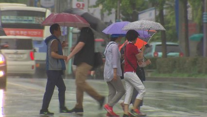 [날씨] 초여름 더위...남부·제주 비, 영서 소나기 / YTN