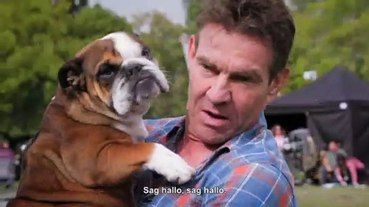 BAILEY EIN HUND KEHRT ZURÜCK Film -  Dennis Quaid und Peaches