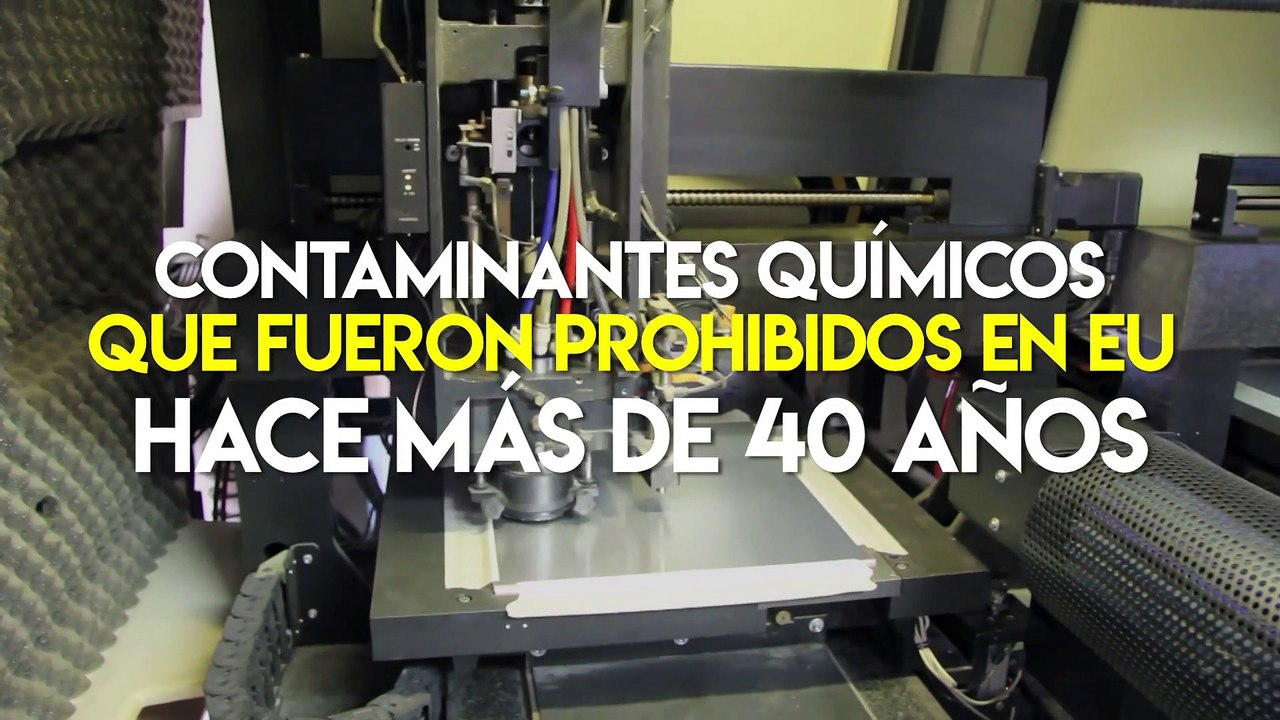 Tecnología y ciencia | Esto podría matar a la mitad de la población de orcas en el mundo